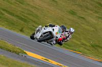 PJ-Motorsport-2019;anglesey-no-limits-trackday;anglesey-photographs;anglesey-trackday-photographs;enduro-digital-images;event-digital-images;eventdigitalimages;no-limits-trackdays;peter-wileman-photography;racing-digital-images;trac-mon;trackday-digital-images;trackday-photos;ty-croes